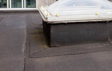 disadvantages of Concord flat roofs