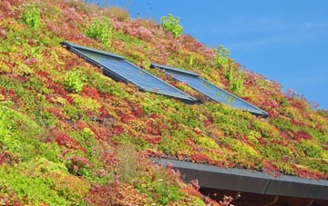 Concord living roof systems