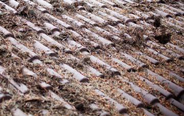 Concord roof cleaning companies